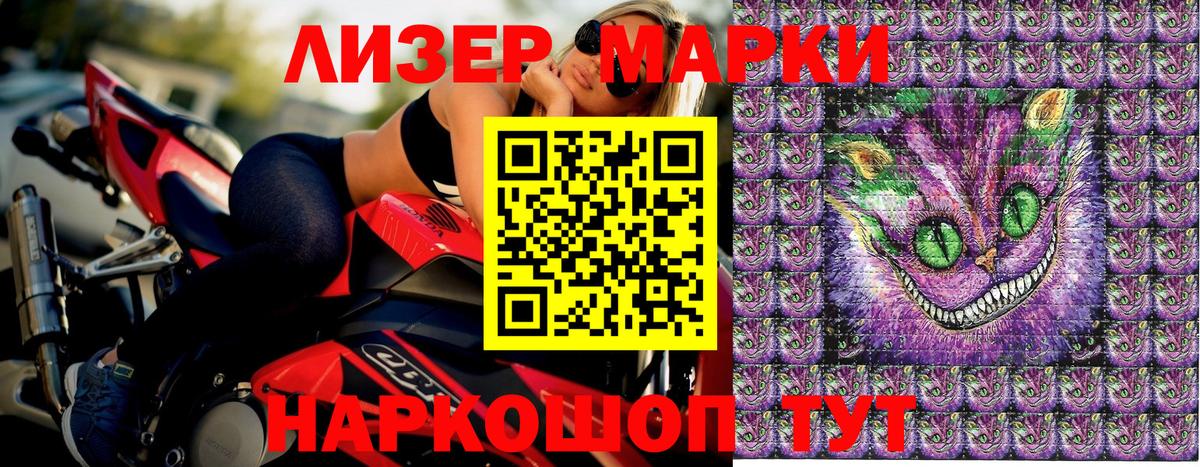 Сегежа  Марки N-bome 1500мкг  Вход с VPN  Марки NBOMe  Марки N-bome 1500мкг 