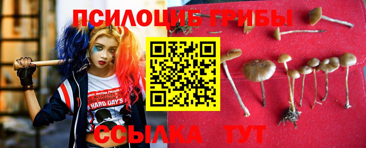 Псилоцибиновые грибы Psilocybe  Псилоцибиновые грибы Cubensis  Сегежа  Вход с VPN 